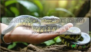 childrens python temperament and care