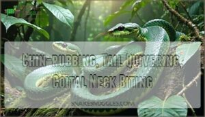 chin-rubbing, tail quivering, coital neck biting