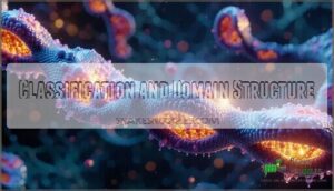 classification and domain structure