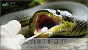 cleaning of the mouth