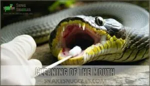 cleaning of the mouth cleaning of the mouth