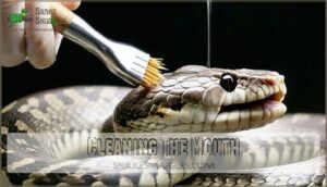 cleaning the mouth