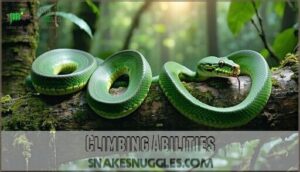 climbing abilities