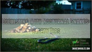 coexisting with nocturnal snakes: safety tips