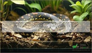common burrowing problems