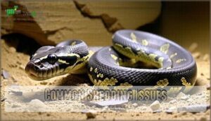 common shedding issues