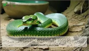 common shedding issues common shedding issues