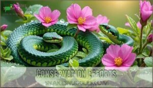 conservation efforts
