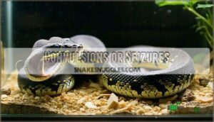 convulsions or seizures
