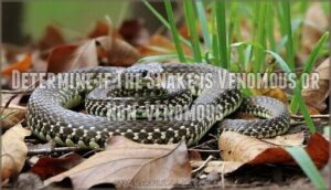 determine if the snake is venomous or non-venomous