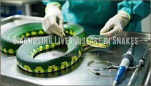 diagnosing liver disease in snakes