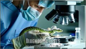 diagnostic tests