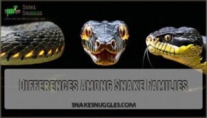 differences among snake families