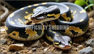 difficulty shedding