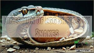 digestion of egg shells by snakes