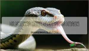 do snakes have jacobsons organ