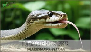 do snakes have taste