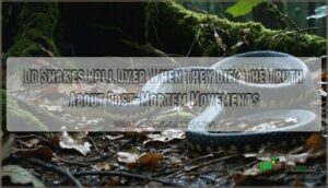 do snakes roll over when they die