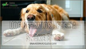 dog behavior after a snake bite