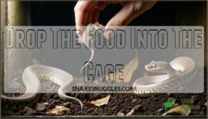 drop the food into the cage