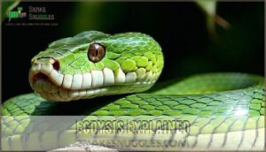 ecdysis explained