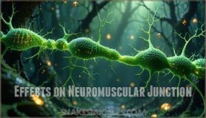 effects on neuromuscular junction