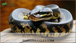 elasticity in skin
