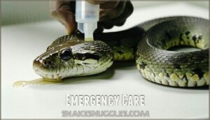 emergency care