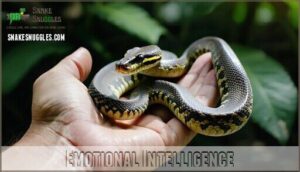 emotional intelligence