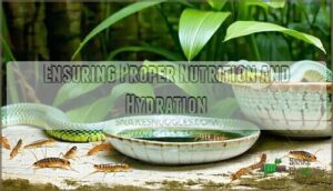 ensuring proper nutrition and hydration