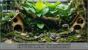 environment enrichment