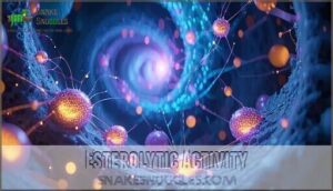 esterolytic activity
