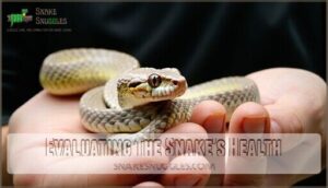 evaluating the snake's health