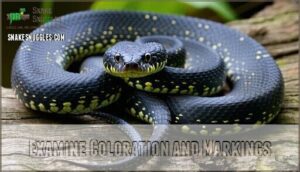 examine coloration and markings