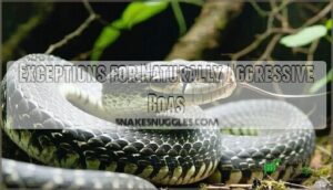 exceptions for naturally aggressive boas