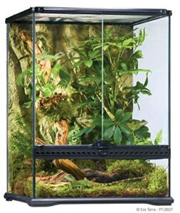 Exo Terra Glass Natural Terrarium B000OAYXTK