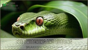 eye twitching and rubbing