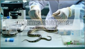 fecal exams for parasites