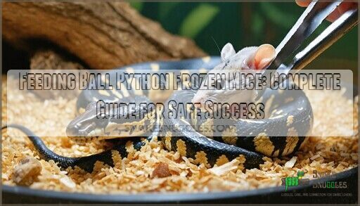 Feeding Ball Python Frozen Mice: Complete Guide for Safe Success