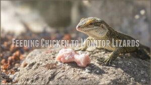 feeding chicken to monitor lizards