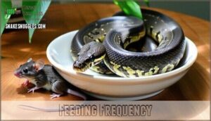 feeding frequency