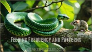 feeding frequency and patterns