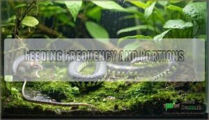 feeding frequency and portions