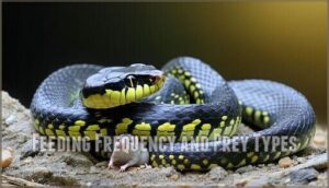 feeding frequency and prey types