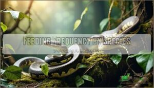 feeding frequency by species