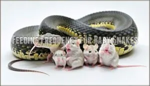 feeding frequency for baby snakes feeding frequency for baby snakes