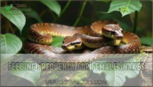 feeding frequency for female snakes