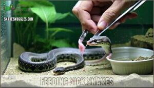 feeding sick snakes