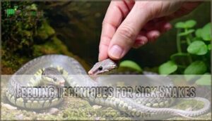 feeding techniques for sick snakes