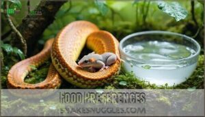 food preferences
